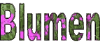 Bilderwelt mit dem Thema Blumen erneut anzeigen